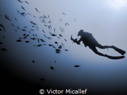Diver Photographer in silhouette. by Victor Micallef 